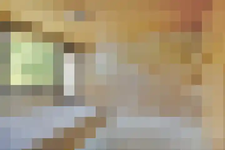 Berberislaan 12 Winterswijk thumbnail 28