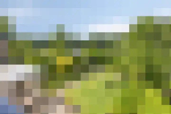 Berberislaan 12 Winterswijk thumbnail 31