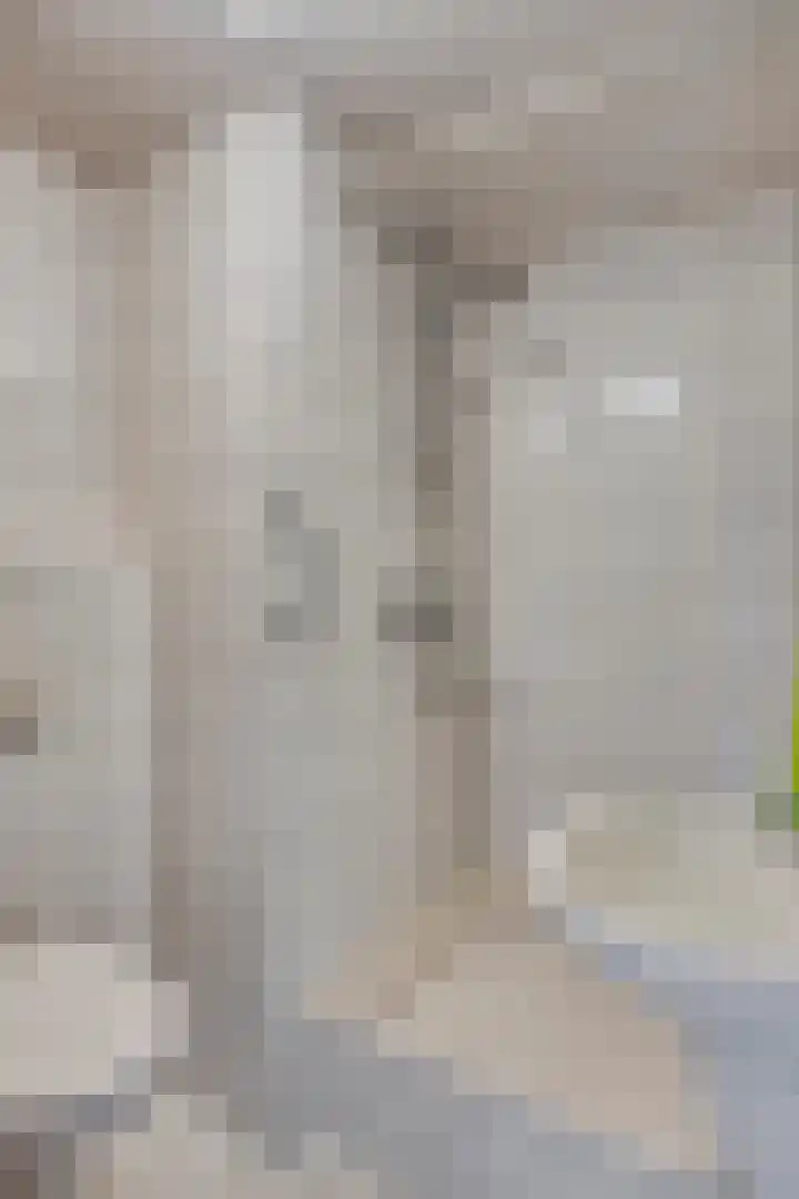 Berberislaan 12 Winterswijk thumbnail 33