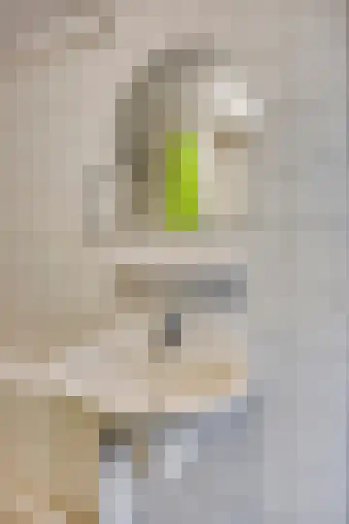 Berberislaan 12 Winterswijk thumbnail 34
