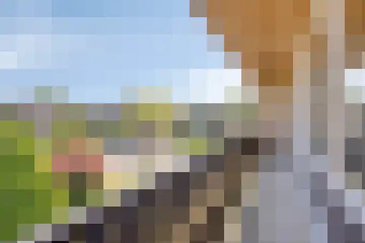 Berberislaan 12 Winterswijk thumbnail 37