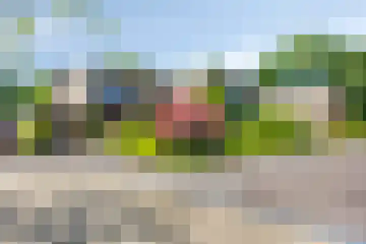 Berberislaan 12 Winterswijk thumbnail 4