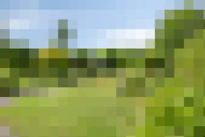 Berberislaan 12 Winterswijk thumbnail 41