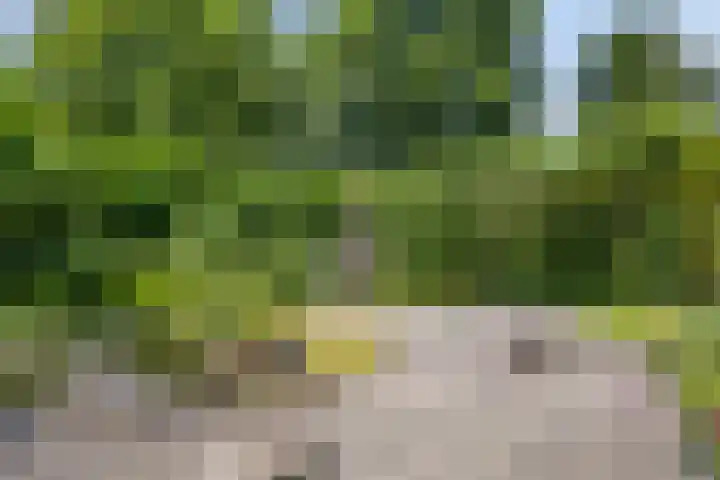 Berberislaan 12 Winterswijk thumbnail 43