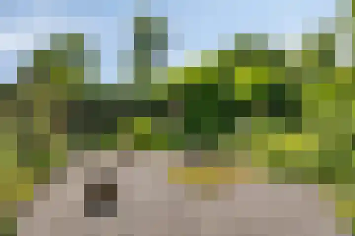Berberislaan 12 Winterswijk thumbnail 44