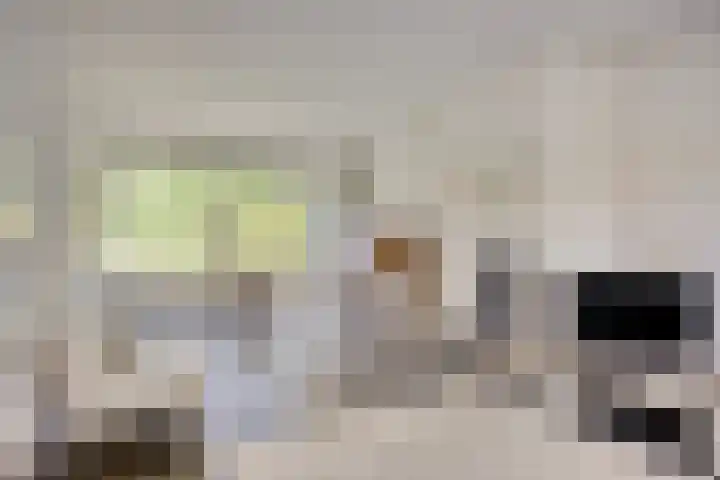 Berberislaan 12 Winterswijk thumbnail 9