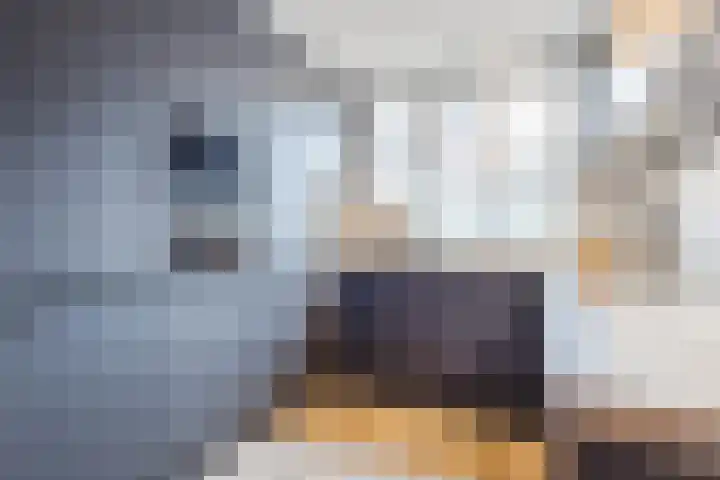 Bereklauw 114 Cuijk thumbnail 11