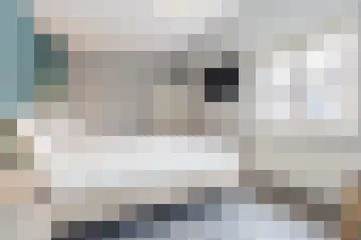 Bereklauw 114 Cuijk thumbnail 14