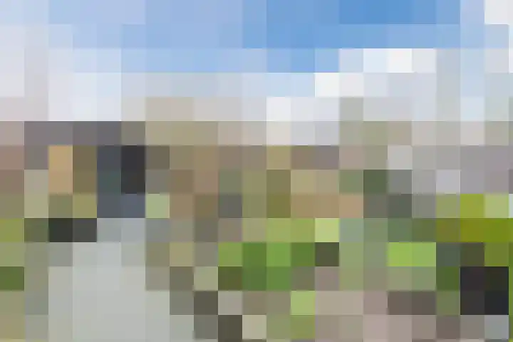 Bereklauw 114 Cuijk thumbnail 21