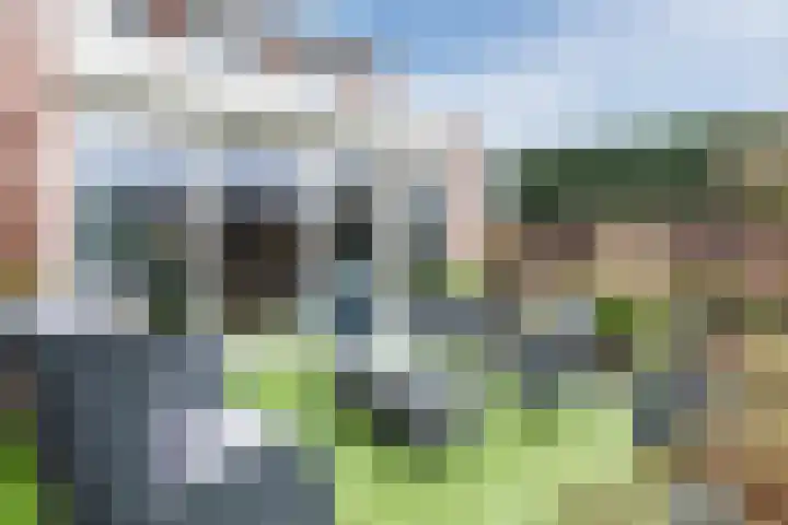 Bereklauw 114 Cuijk thumbnail 22