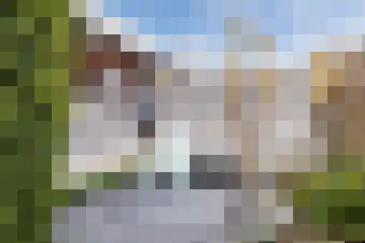 Bereklauw 114 Cuijk thumbnail 24
