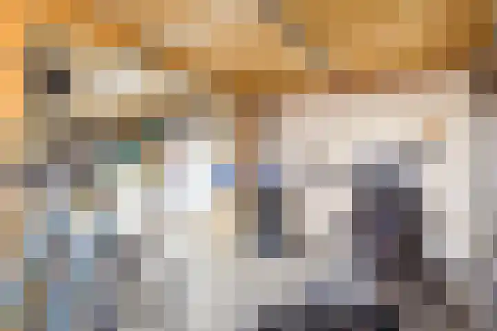Bereklauw 114 Cuijk thumbnail 27