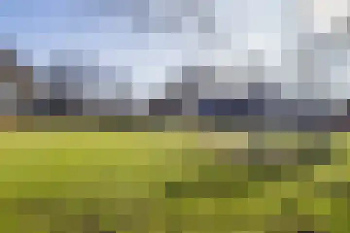 Bereklauw 114 Cuijk thumbnail 29