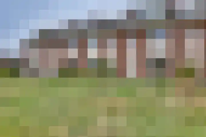 Bereklauw 23 dans Rijssen