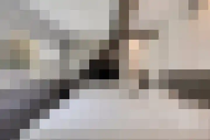 Bereklauw 65 Deventer thumbnail 16
