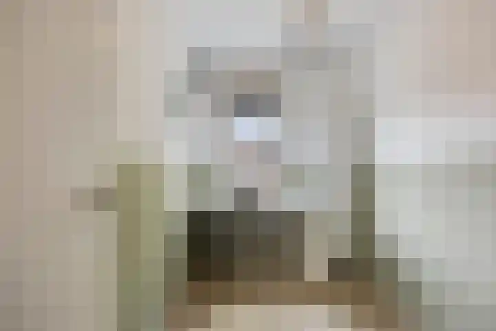 Bereklauw 65 Deventer thumbnail 22