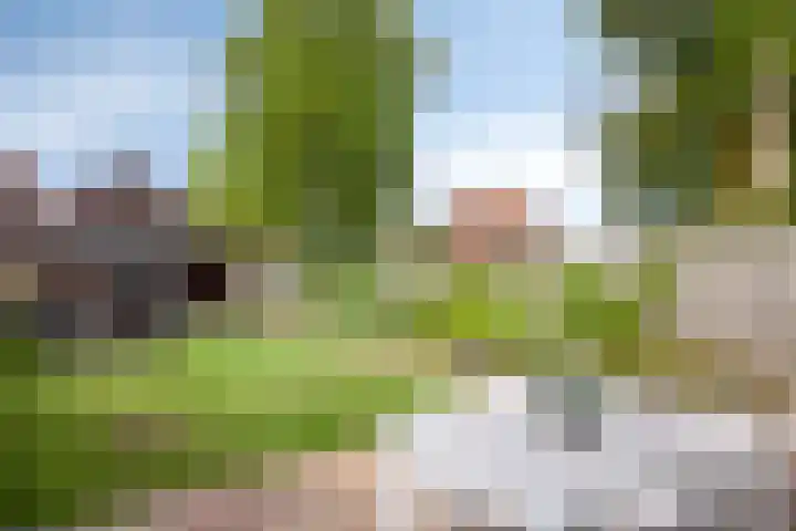 Bereklauw 65 Deventer thumbnail 32
