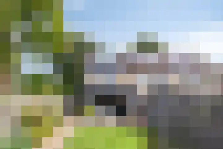 Bereklauw 65 Deventer thumbnail 34