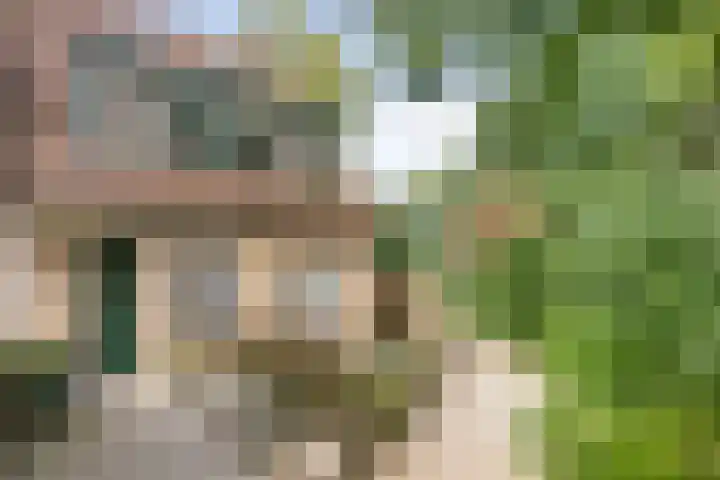 Bereklauw 65 Deventer thumbnail 36