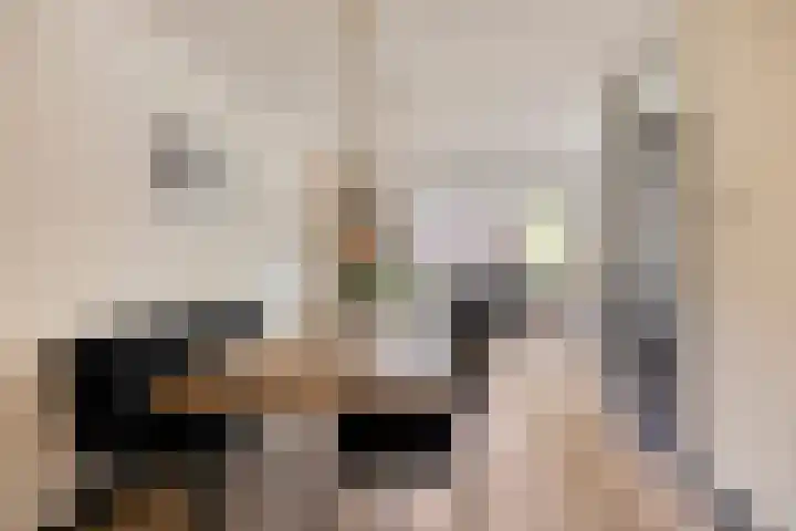 Bereklauw 65 Deventer thumbnail 8
