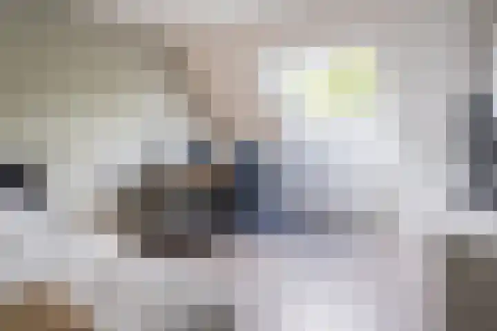 Bereklauw 81 Cuijk thumbnail 17