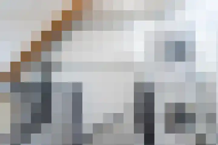 Bereklauw 81 Cuijk thumbnail 24