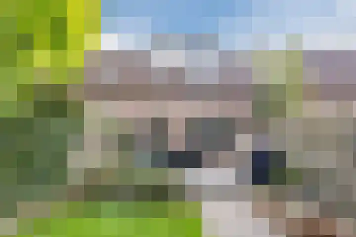 Bereklauw 81 Cuijk thumbnail 26