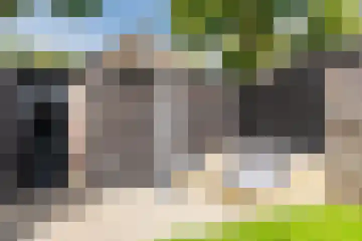 Bereklauw 81 Cuijk thumbnail 28