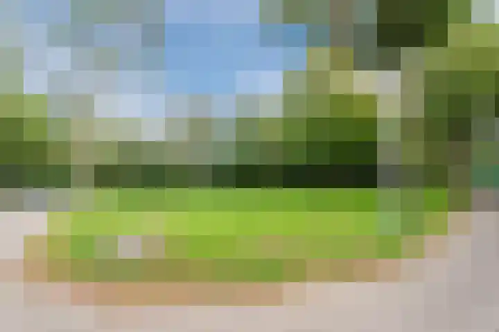 Bereklauw 81 Cuijk thumbnail 29