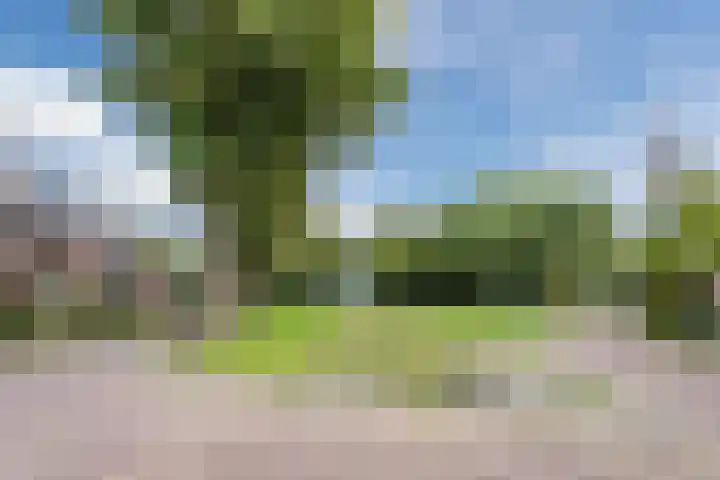 Bereklauw 81 Cuijk thumbnail 31