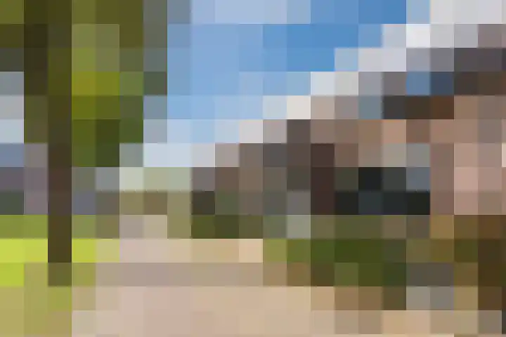 Bereklauw 81 Cuijk thumbnail 5