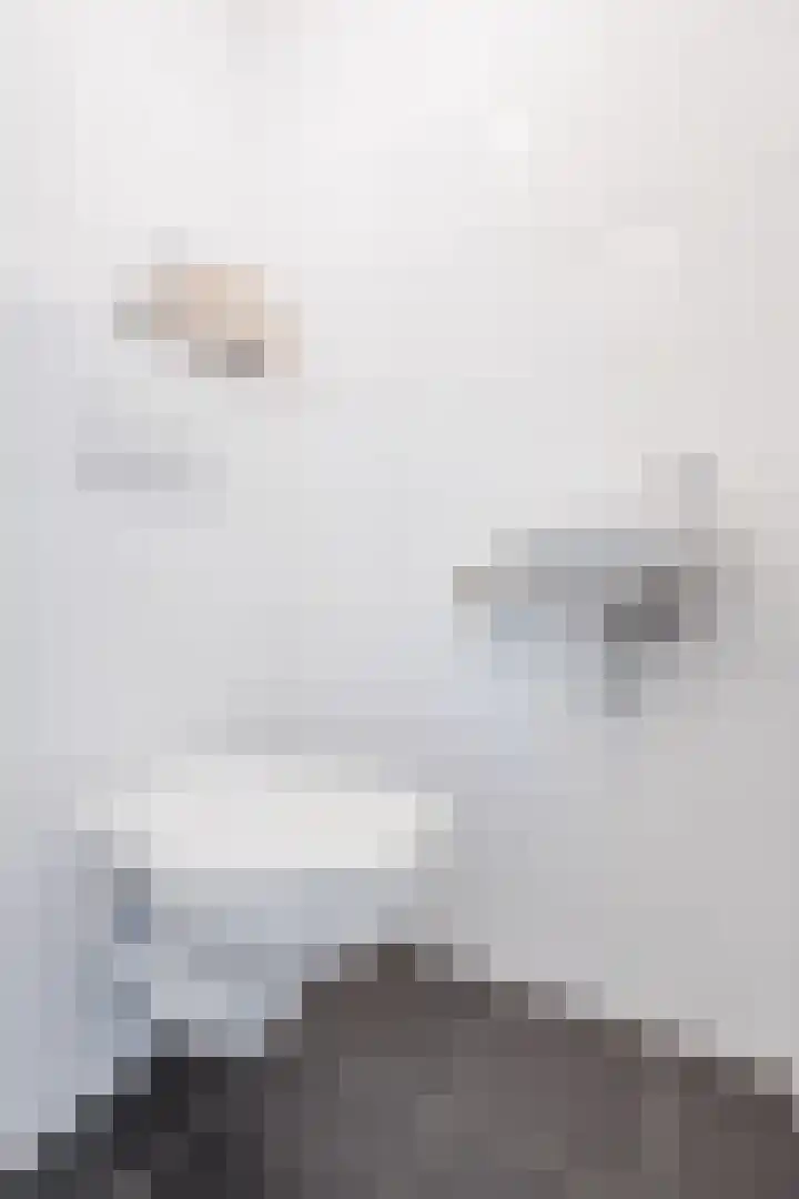 Bereklauw 81 Cuijk thumbnail 7