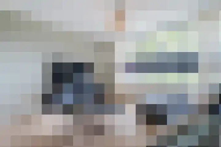 Bereklauw 81 Cuijk thumbnail 8