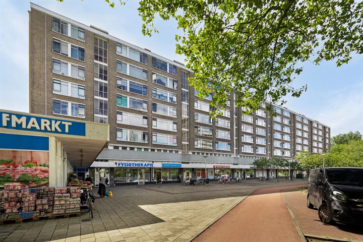 Beresteinlaan 393 in 's-Gravenhage foto