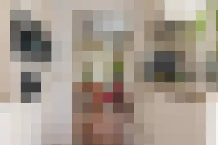 Berg 10 Veldhoven thumbnail 18
