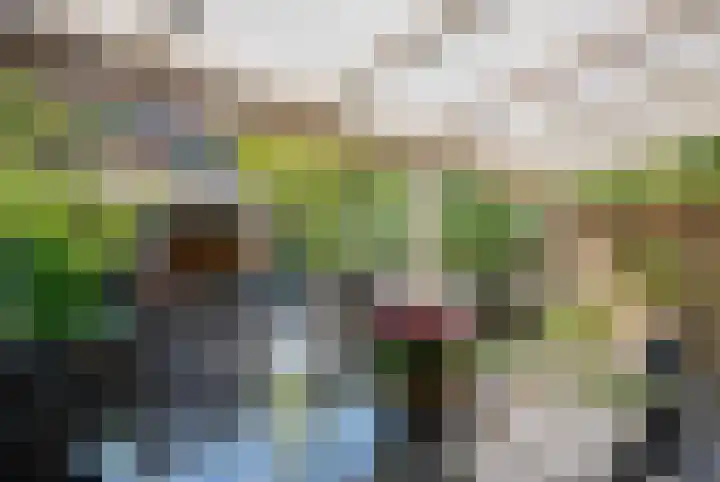 Berg 10 Veldhoven thumbnail 23