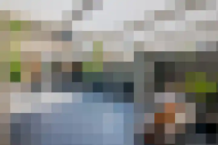 Berg 10 Veldhoven thumbnail 28