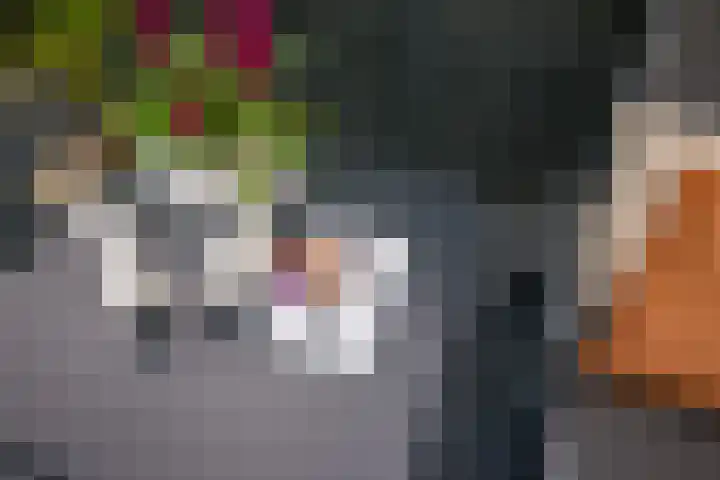 Berg 10 Veldhoven thumbnail 31