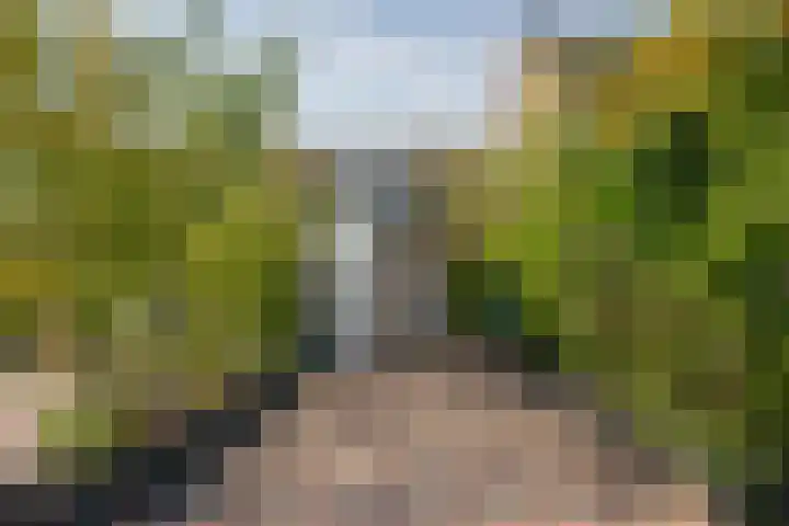 Berg 10 Veldhoven thumbnail 39