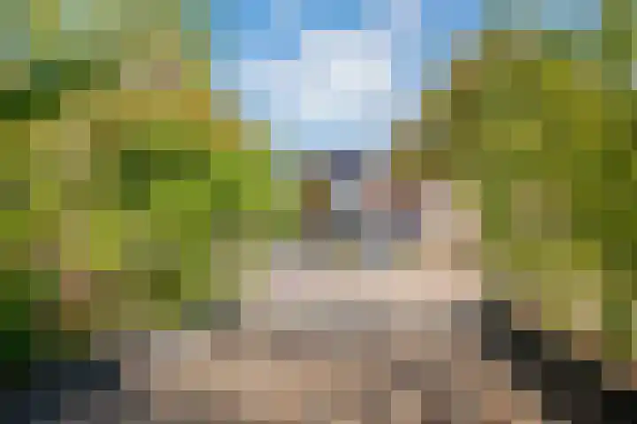 Berg 10 Veldhoven thumbnail 40
