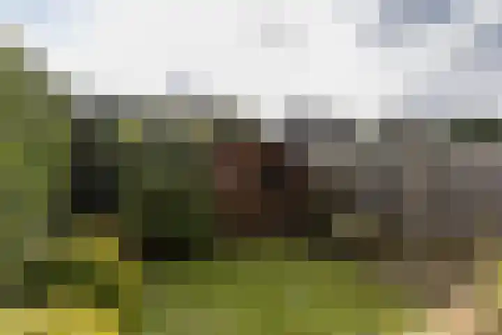 Berg 36 Veldhoven thumbnail 29