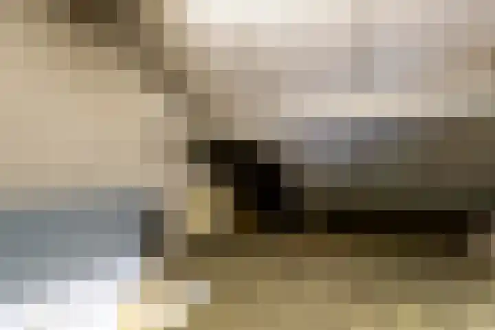 Berg 36 Veldhoven thumbnail 36
