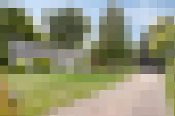 Berg 7 Budel