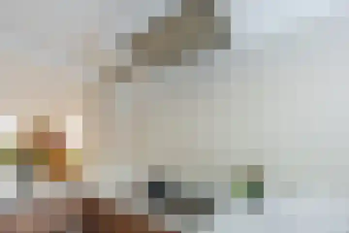 Berg 82 Veldhoven thumbnail 16