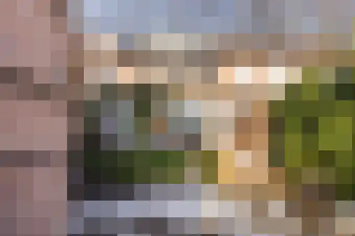 Berg 82 Veldhoven thumbnail 47
