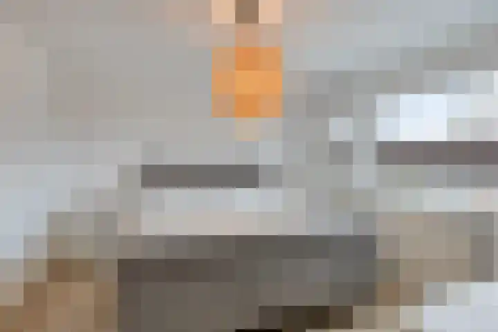 Berg 89 Veldhoven thumbnail 18