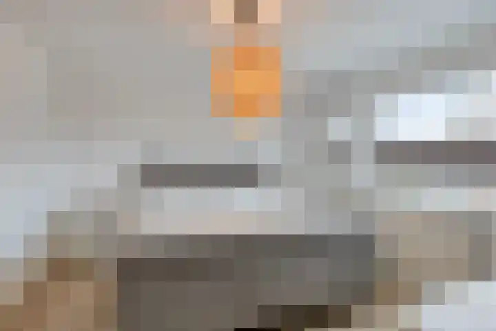 Berg 89 Veldhoven thumbnail 4