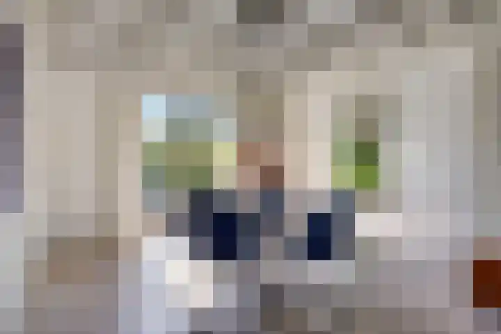 Bergdijk 7 Asten thumbnail 12