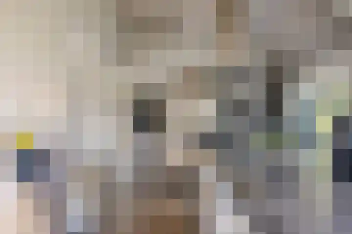 Bergdijk 7 Asten thumbnail 15
