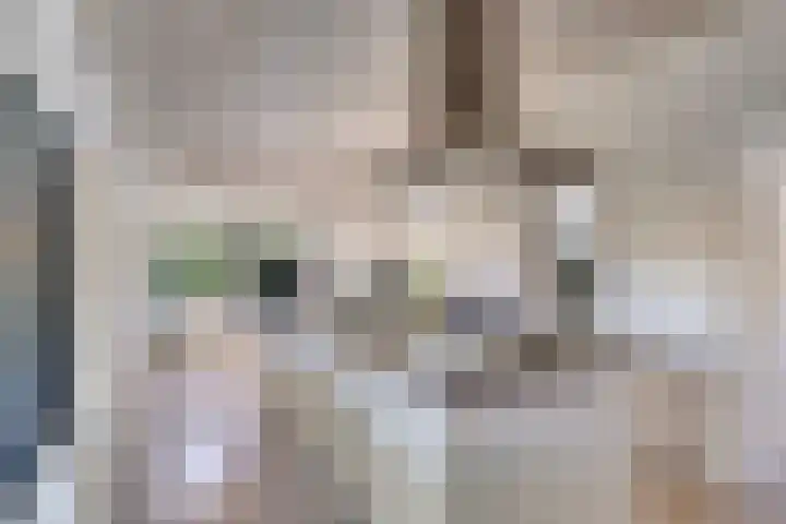 Bergdijk 7 Asten thumbnail 16